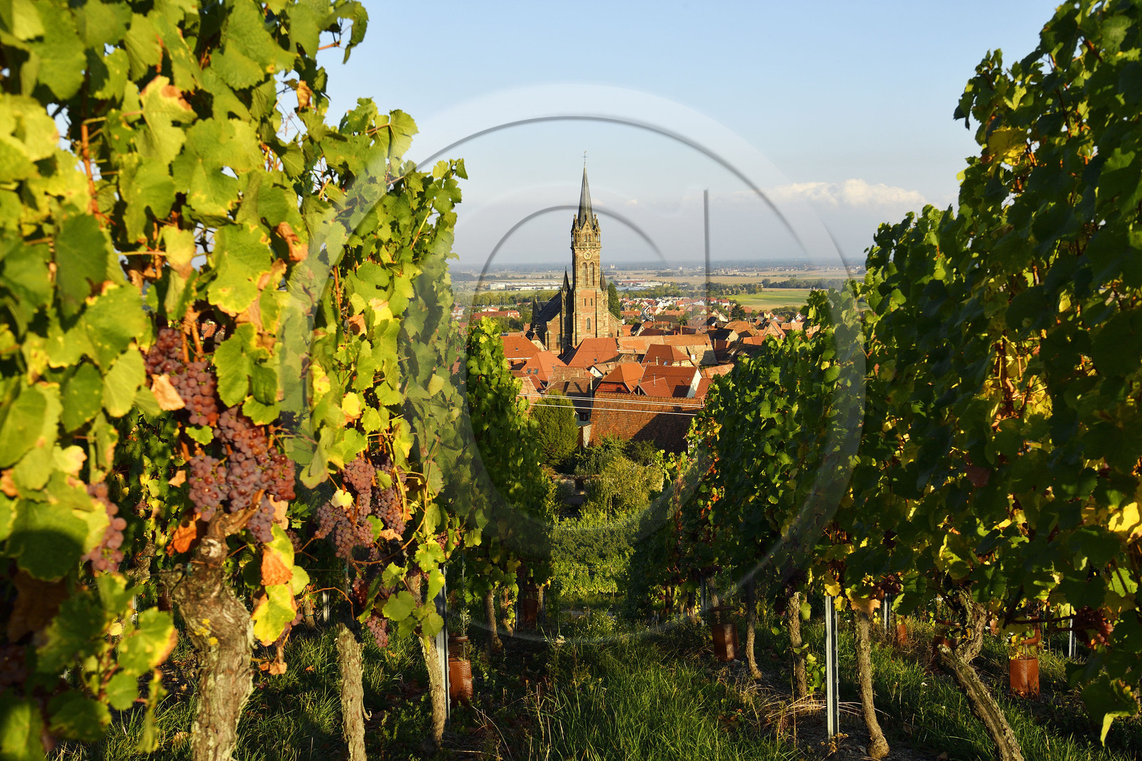 France, Dambach la Ville