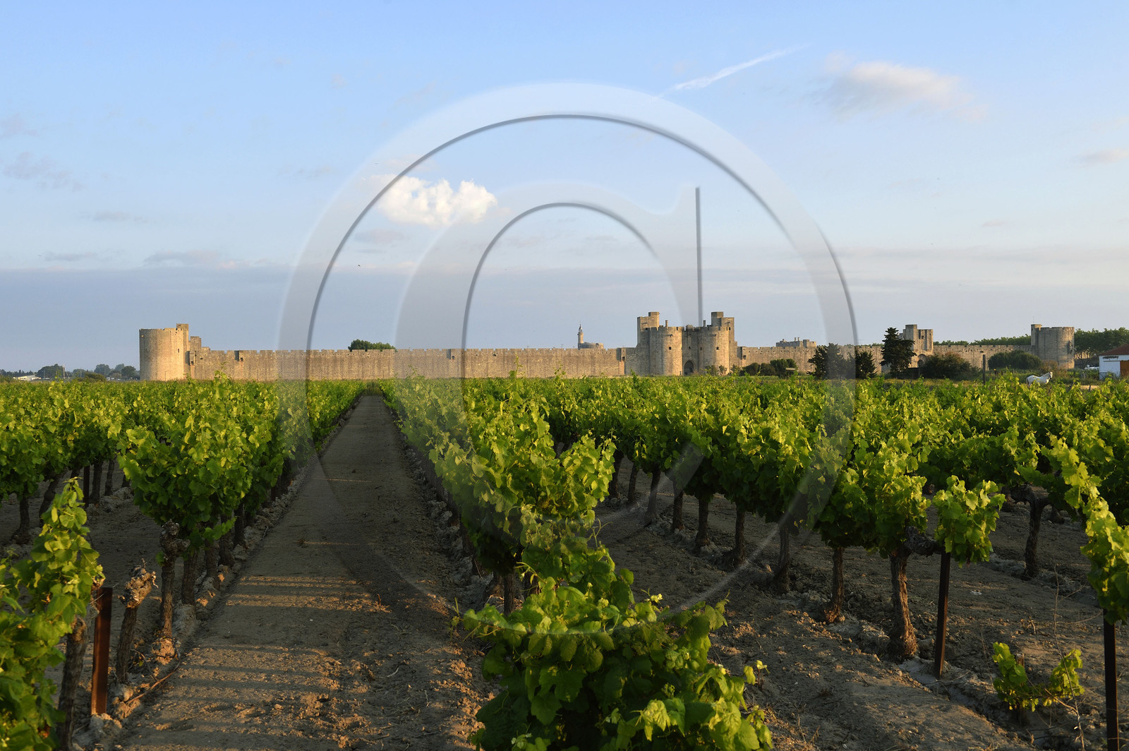 France, Aigues Mortes