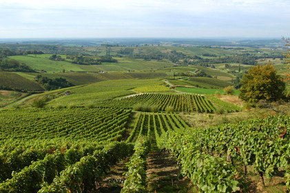 Franche-Comte, France