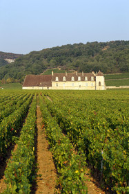 France, Vougeot