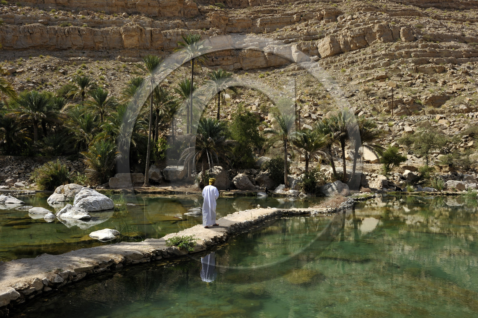 Oman, Wadi Bani Khalid