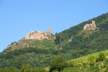 France,  Ribeauville