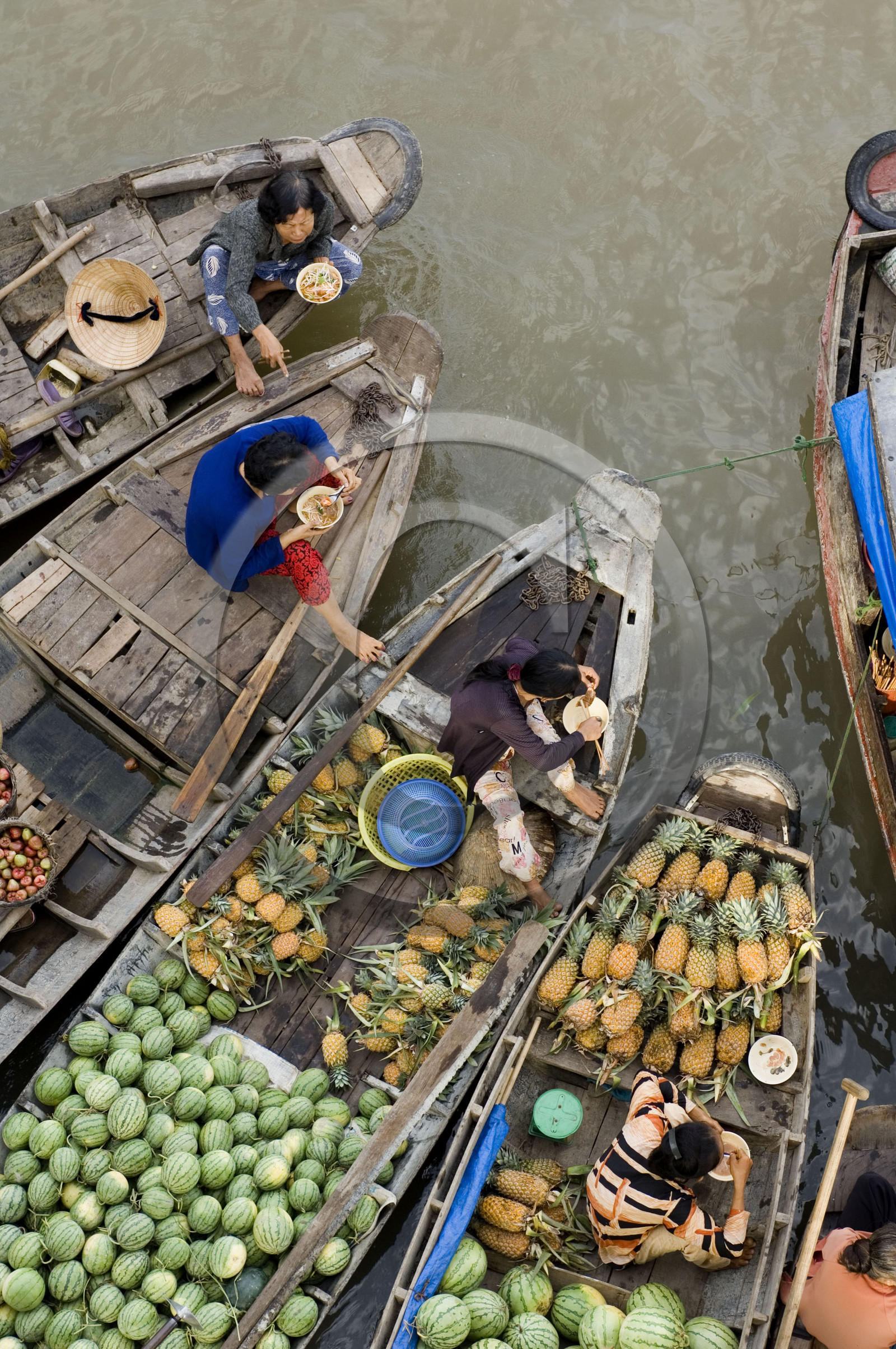 Delta du Mékong, Vietnam