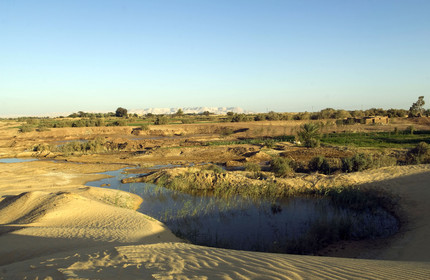Egypte, Dakhla