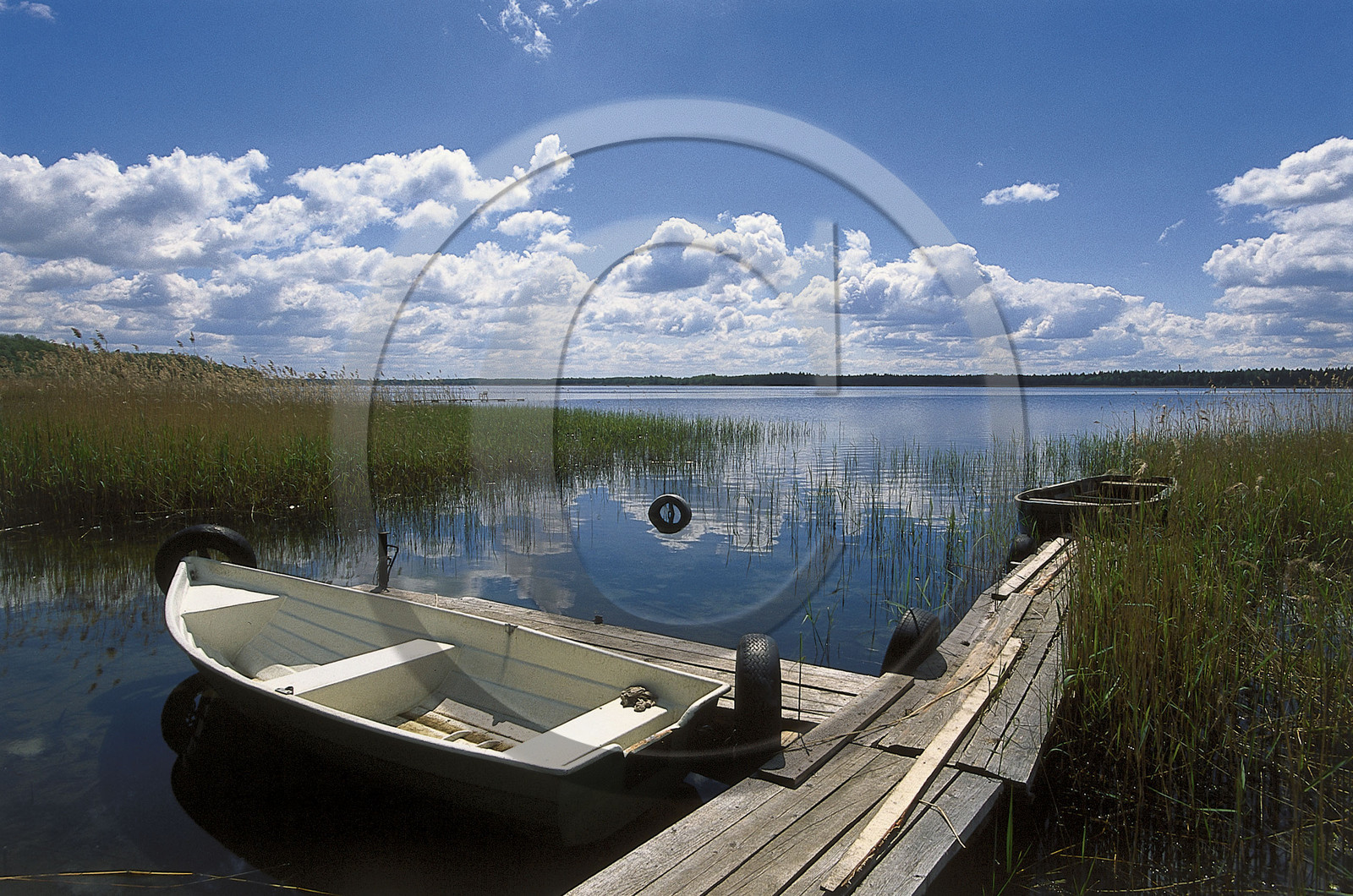 Estonie, Pays Baltes