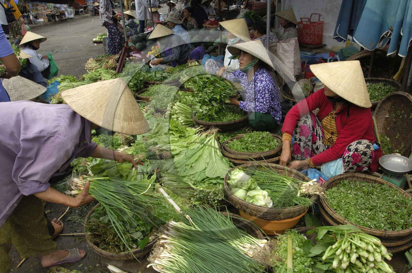 HOI AN, VIETNAM