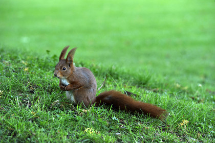 Allemagne, Heidelberg