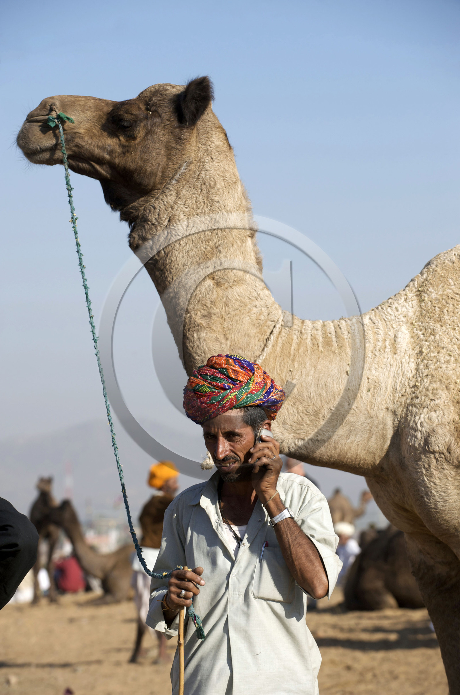 Inde, Pushkar
