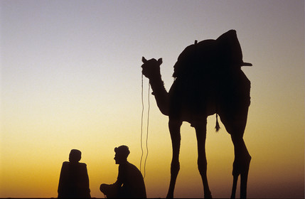 Pushkar, Rajasthan, Inde