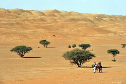 Oman, Wahiba sands