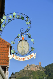 France,  Ribeauville