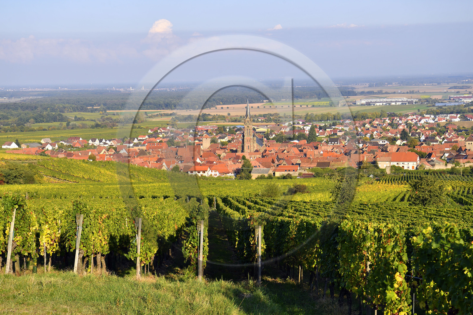 France, Dambach la Ville