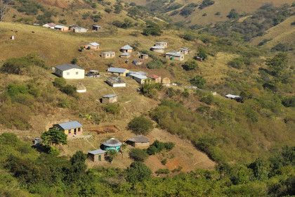 AFS, Shakaland