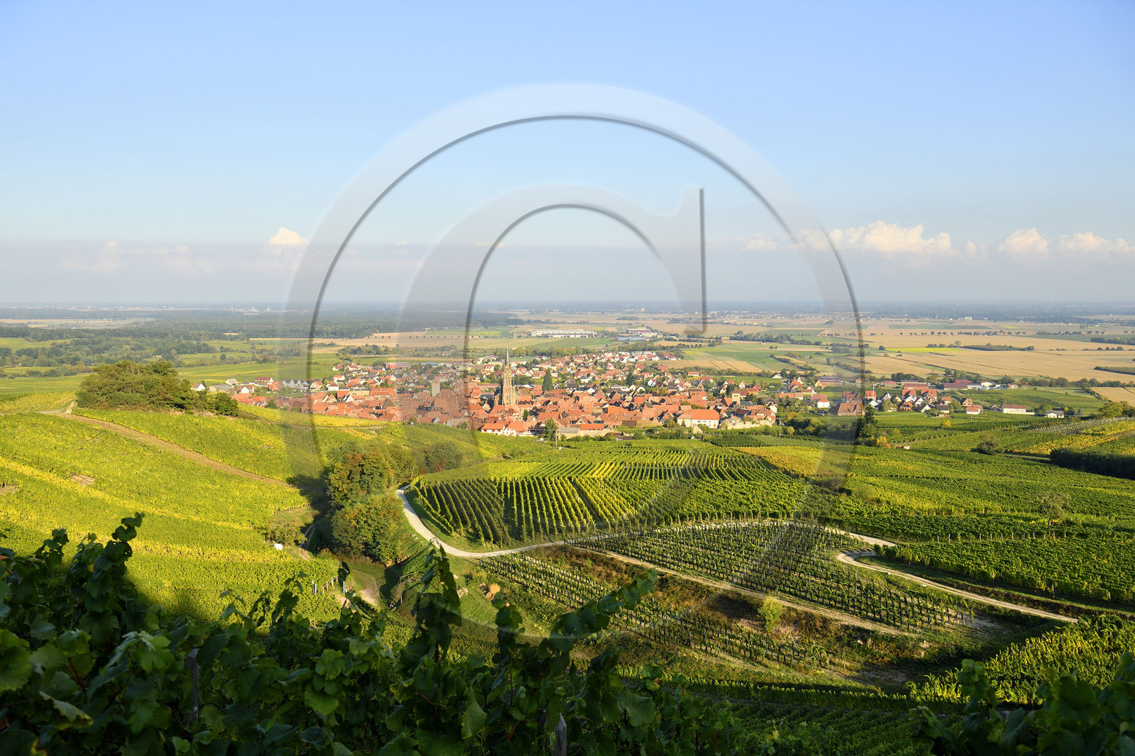 France, Dambach la Ville