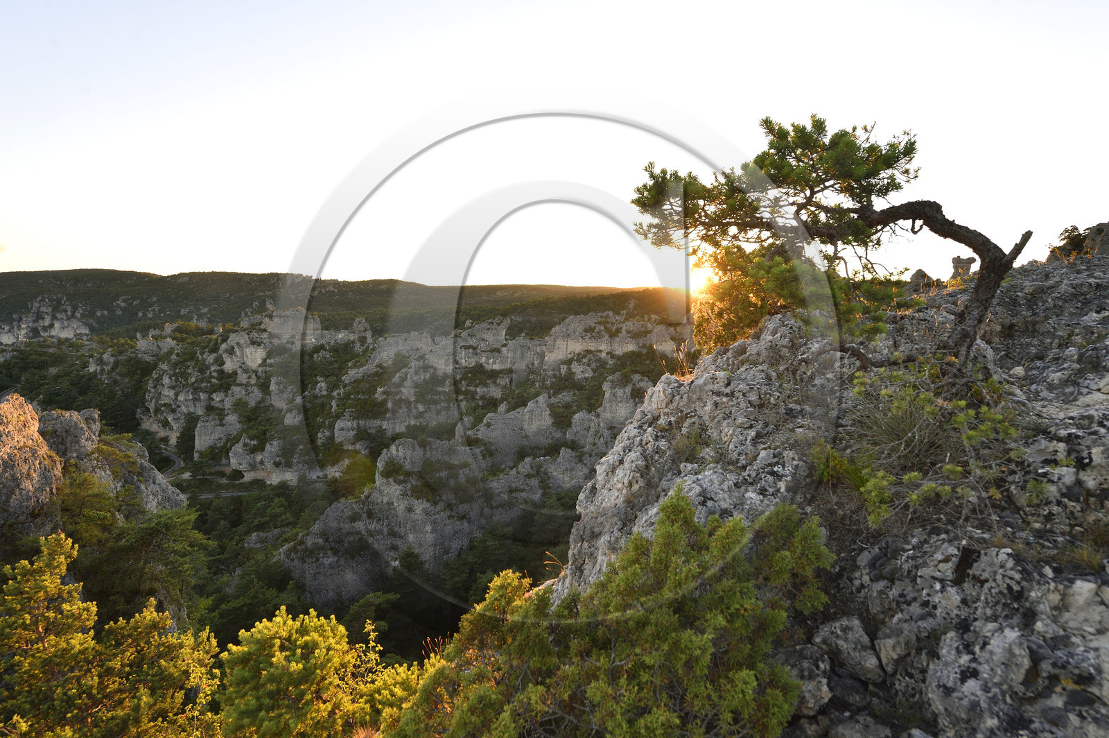 France, Montpellier Vieux