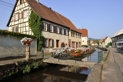 France, Wissembourg