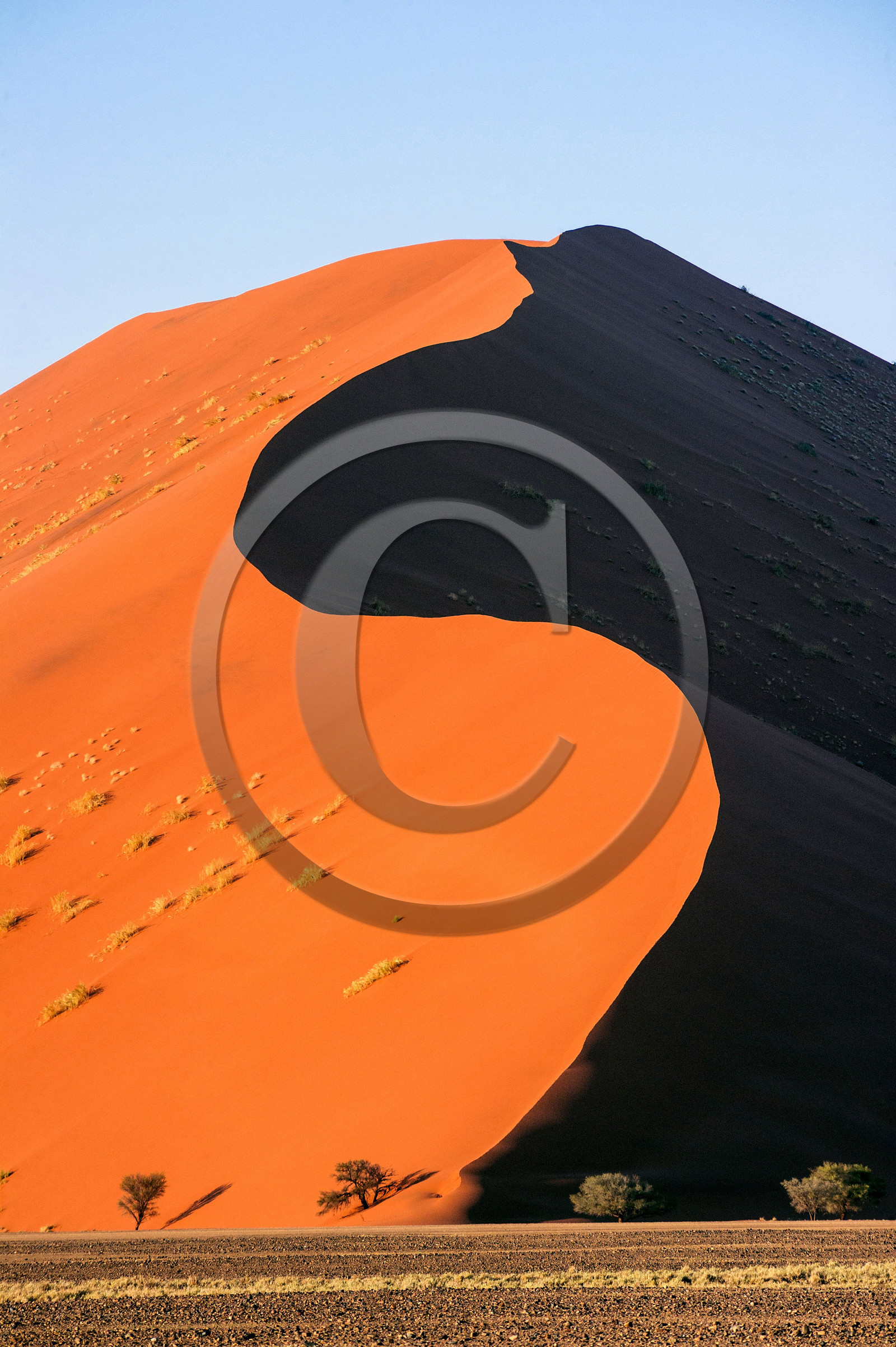 Namibie, Sossusvlei