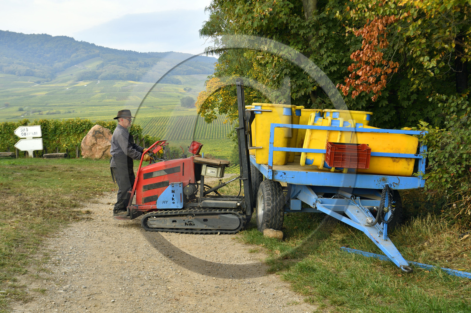 France, Dambach la Ville