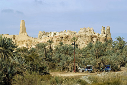 Egypte, Siwa