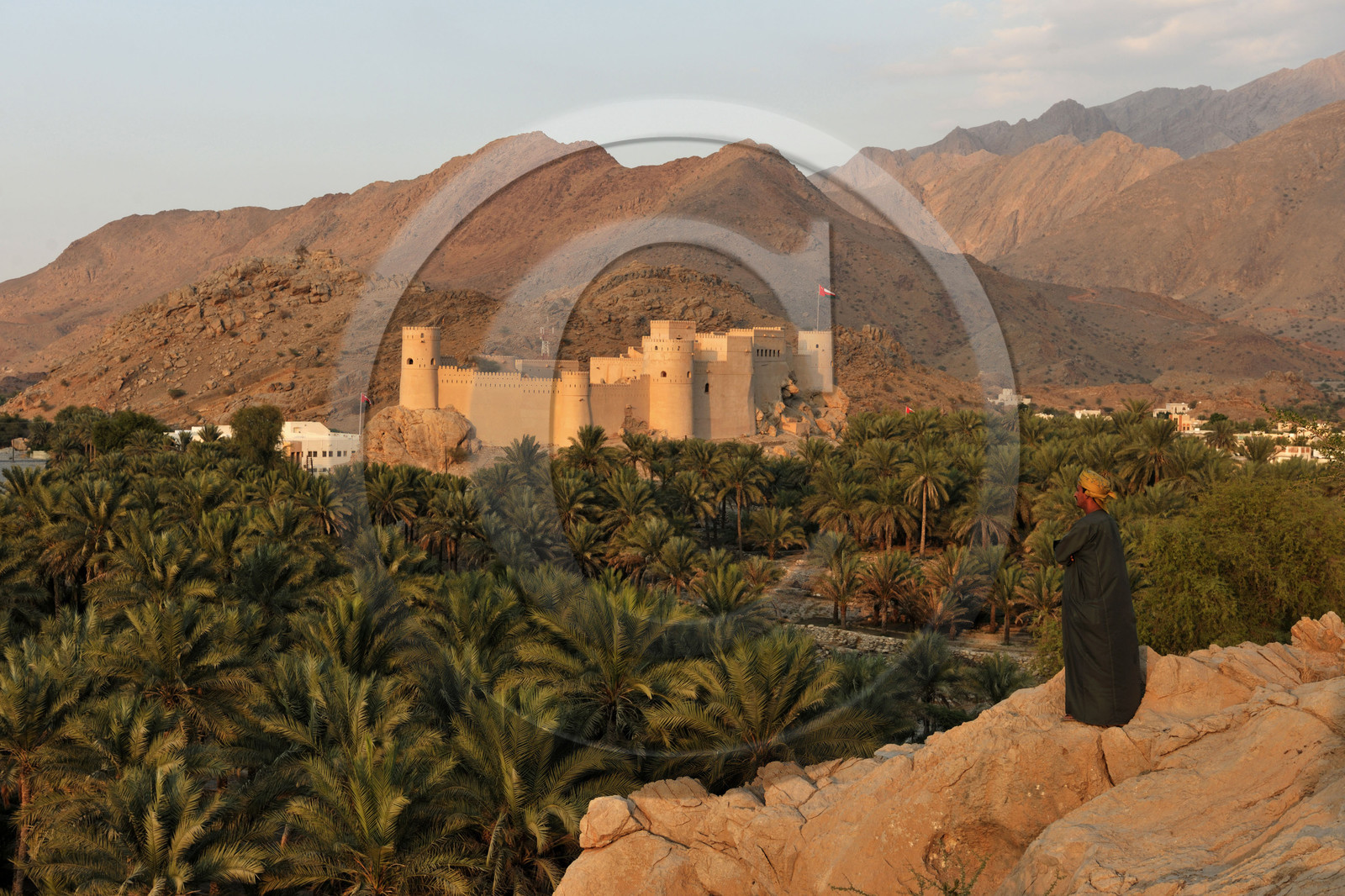 Oman, Nakhl