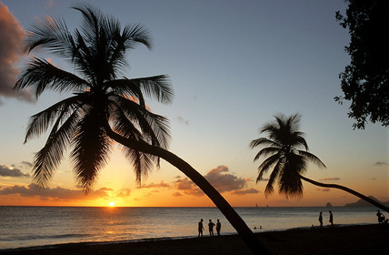 Plage des Salines. Martinique. Antilles Françaises