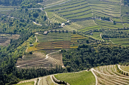 Douro, Portugal