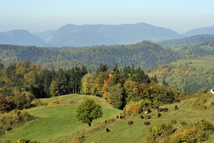 France, Grand Ballon