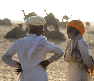 Inde, Pushkar