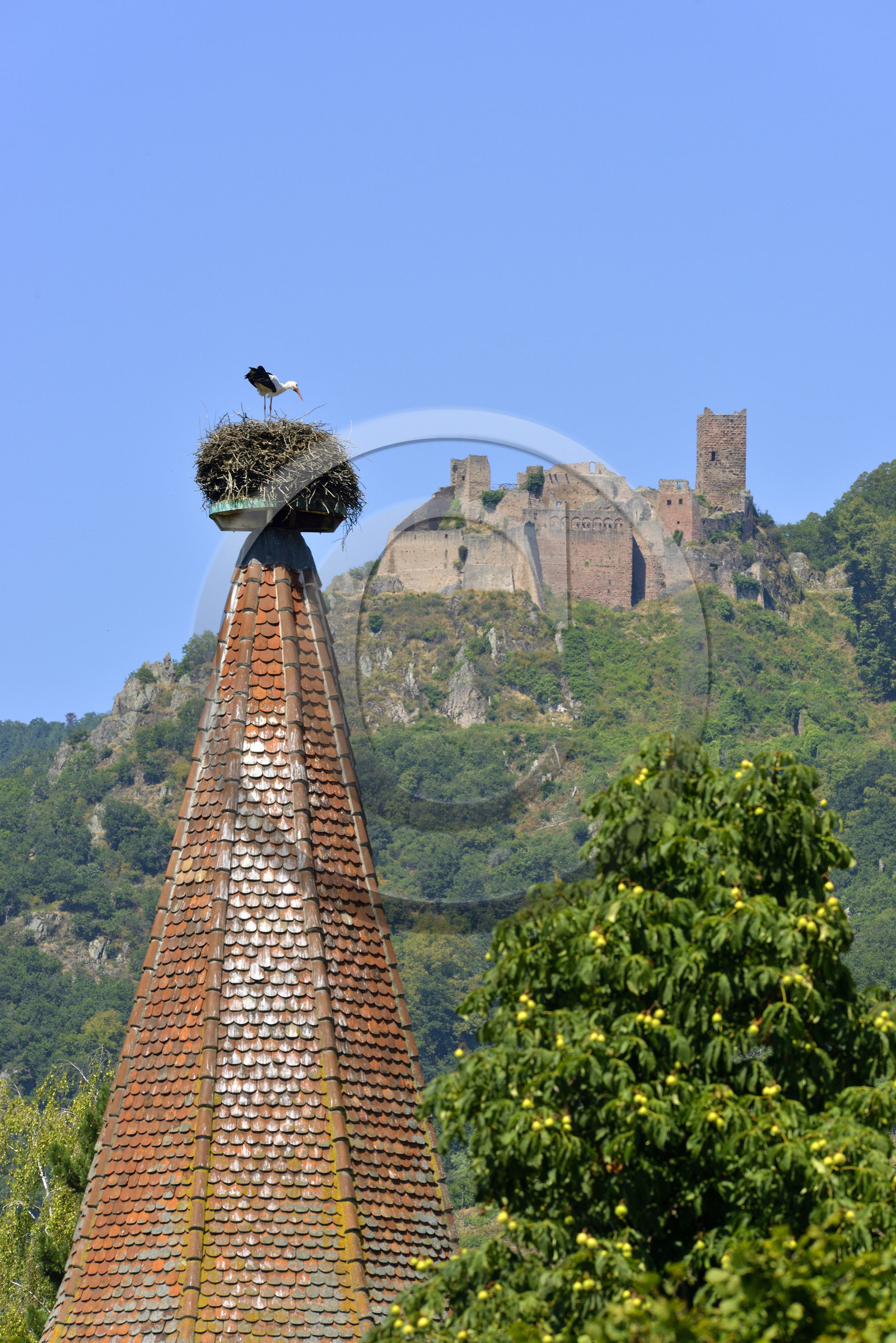 France,  Ribeauville