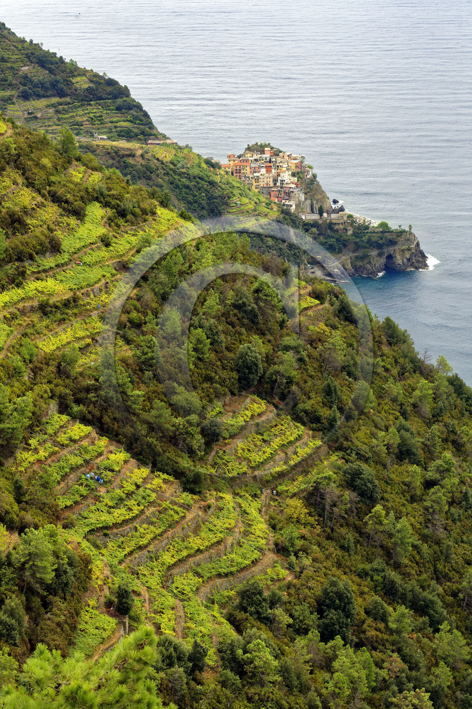 Italie, Cinque Terre