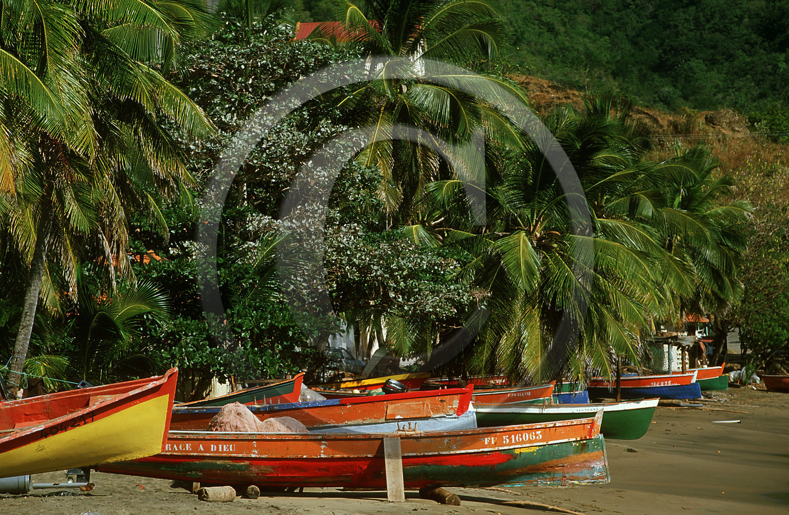 Petite Anse. Guadeloupe. Antilles Francaises