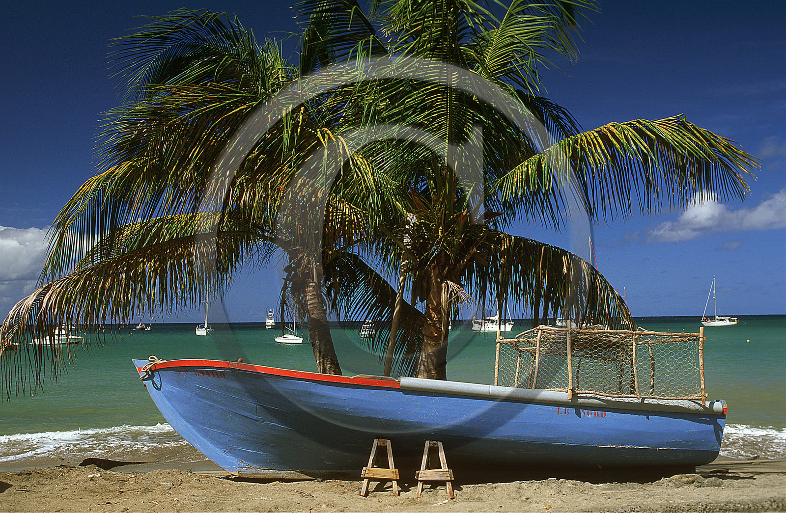 Deshaies.Guadeloupe. Antilles Françaises