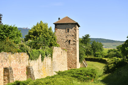 France, Bergheim