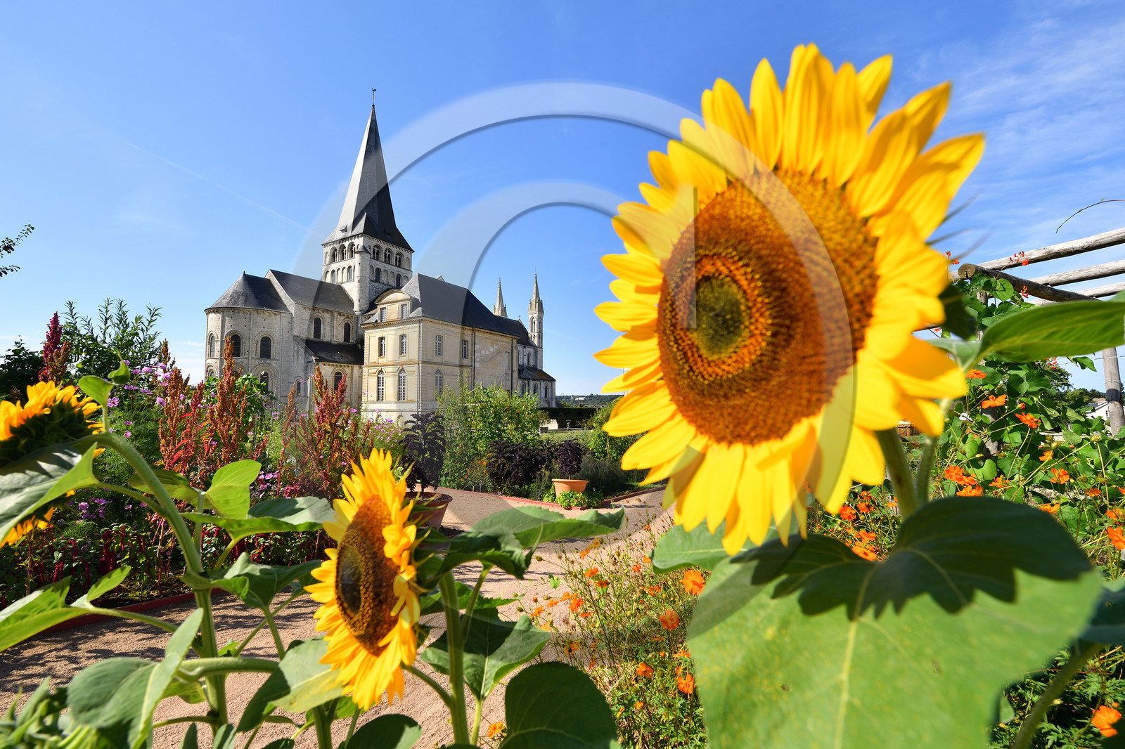 France, Boscherville