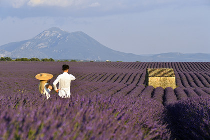 France, Valensole