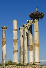 Volubilis, Morokko
