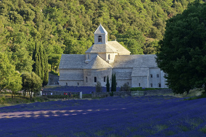 France, Senanque