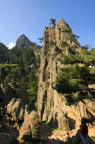 Bavella, Corse, France