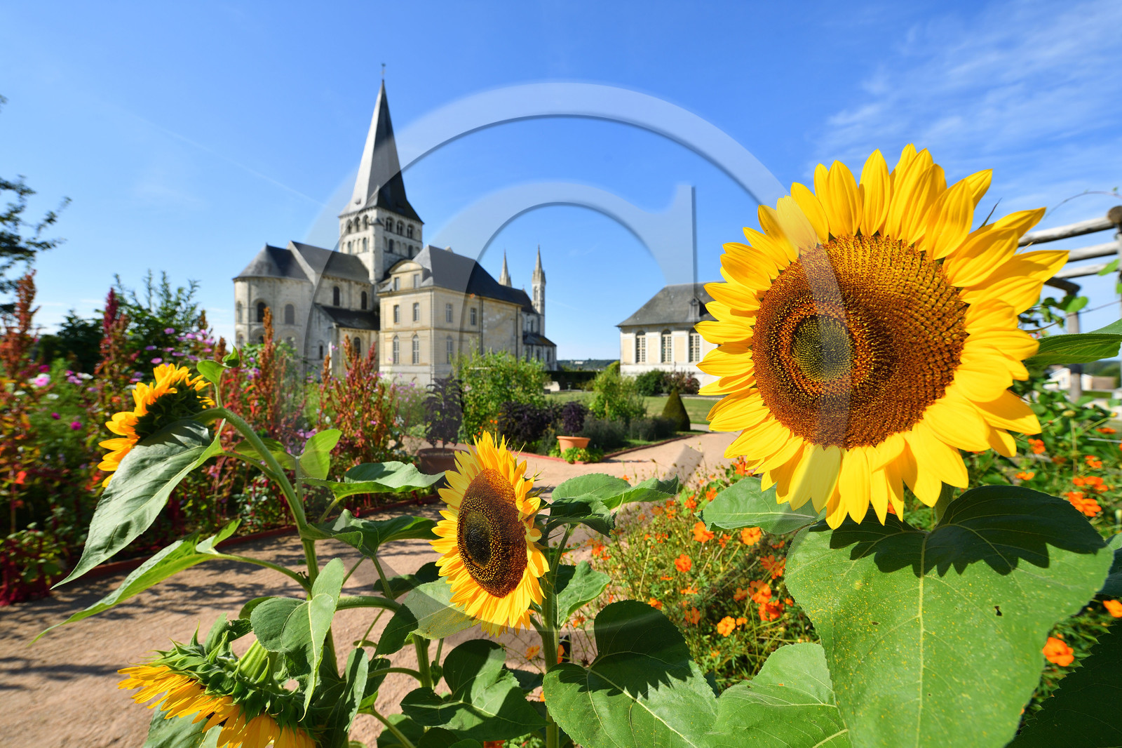 France, Boscherville