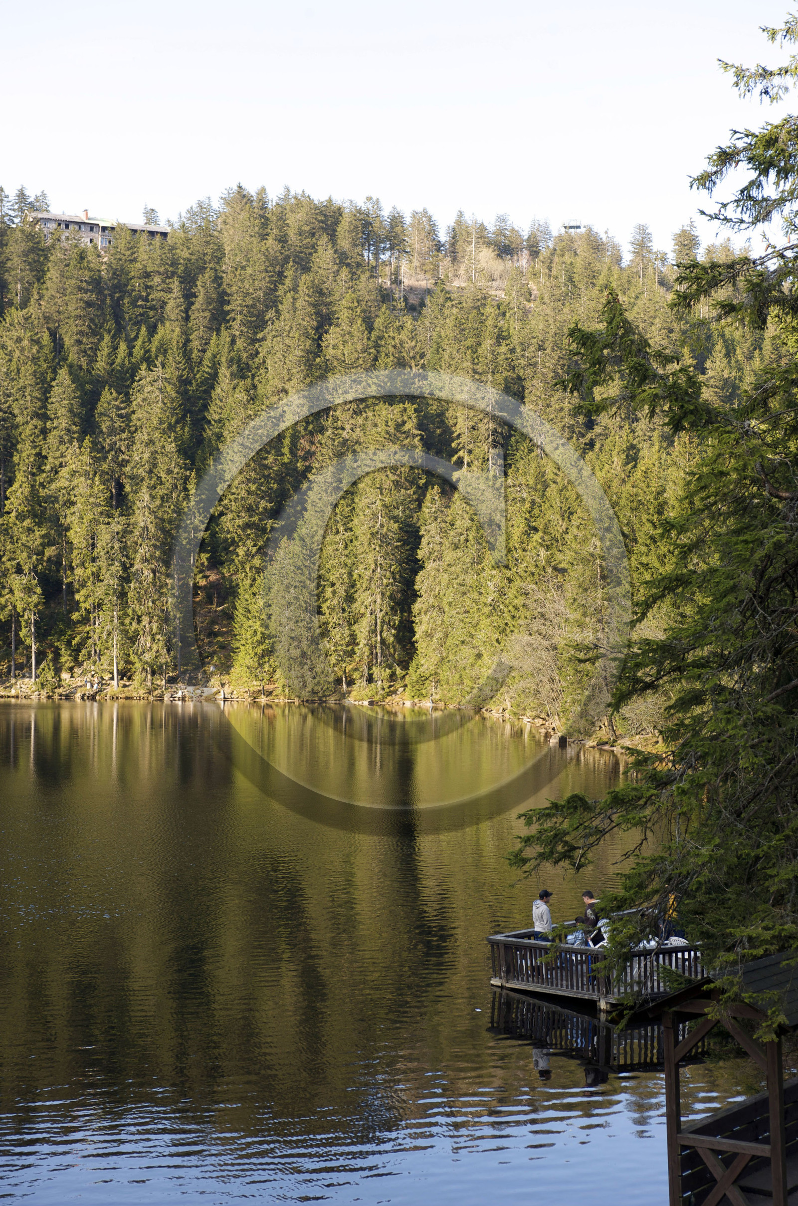 Allemagne, Forêt Noire