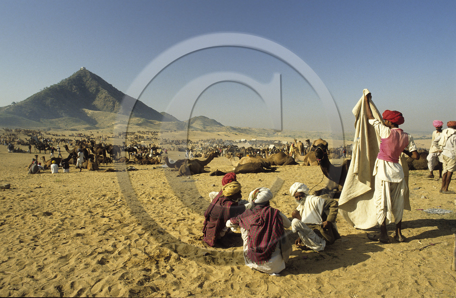 Pushkar, Rajasthan, Inde